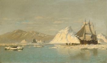 威廉 佈雷德福 Off Greenland 威廉 佈雷德福 Off Greenland